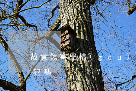 故意傷害罪構(gòu)成結(jié)果犯嗎？